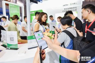 高燈科技亮相騰訊全球數字生態大會，專注打造智慧財稅極致體驗