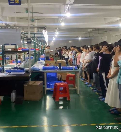電子廠工程師與分類工作詳解 進(jìn)城打工與演出經(jīng)紀(jì)小知識(shí)