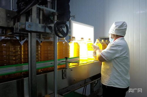 揚(yáng)優(yōu)勢補(bǔ)短板強(qiáng)弱項(xiàng)新疆糧油產(chǎn)業(yè)快速發(fā)展