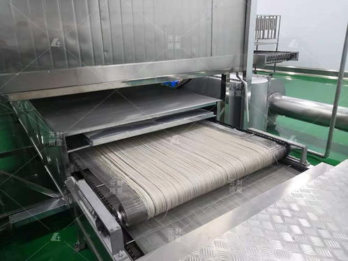 想要開辦粉條加工廠,工藝不使用明礬的自動(dòng)化粉條加工設(shè)備你了解嗎