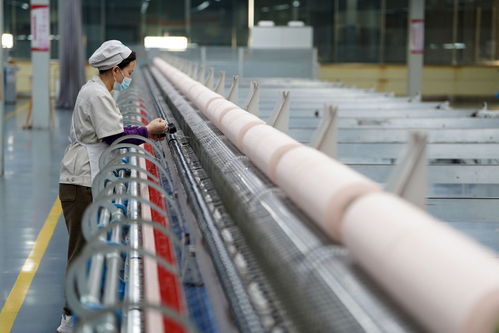 新春走基層丨河北清河 羊絨之都 開足馬力生產忙