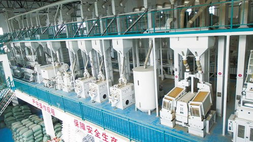 保山市農(nóng)產(chǎn)品加工業(yè)邁上高質(zhì)量發(fā)展新臺階