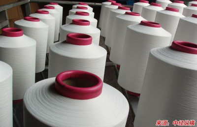 我國空氣變形紗的紡紗技術(shù)及發(fā)展的融資計(jì)劃書