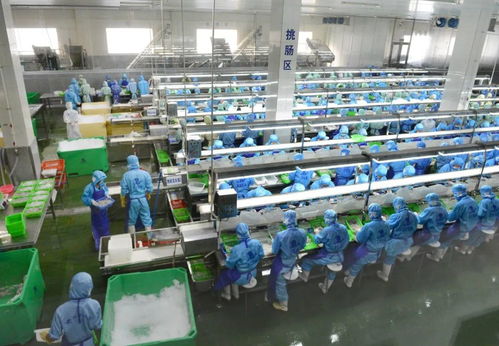 乘風(fēng)破浪 陽江漁業(yè)產(chǎn)業(yè)駛向高質(zhì)量發(fā)展新航程