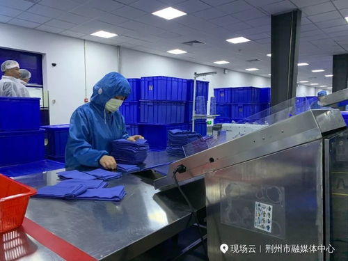 快看 一大波項目助力荊州大發展