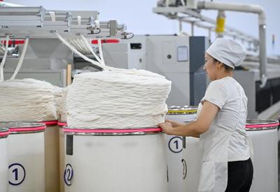 新疆阿圖什:新疆棉撬動就業弦