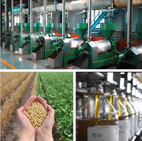 精耕促產(chǎn)業(yè) 堅守做實業(yè) 西旅生態(tài)實業(yè)以農(nóng)產(chǎn)品精深加工為載體助力鄉(xiāng)村產(chǎn)業(yè)高質(zhì)量發(fā)展