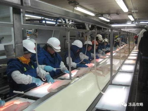 中國(guó)水產(chǎn)加工企業(yè)如何提升國(guó)外市場(chǎng)議價(jià)權(quán)