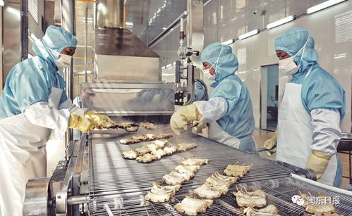 開(kāi)發(fā)三都澳 建設(shè)新寧德 三同工程助力水產(chǎn)加工業(yè)轉(zhuǎn)型升級(jí)，東僑提升配套服務(wù)北部新區(qū)產(chǎn)業(yè)發(fā)展