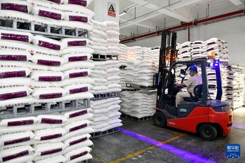 山東兗州 雙輪驅(qū)動(dòng)產(chǎn)業(yè)升級(jí)，食品加工與紡紗銷售協(xié)同發(fā)展