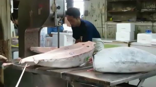 高效精準(zhǔn) 現(xiàn)代加工廠處理冰凍金槍魚(yú)的印染加工技術(shù)