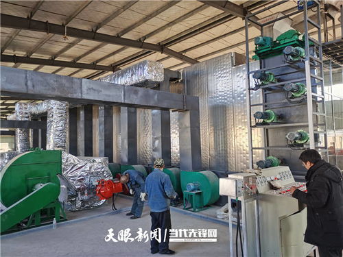 施秉 萬畝魔芋產(chǎn)業(yè)升級，深加工與紡紗雙輪驅(qū)動(dòng)